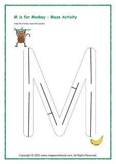 Activity m