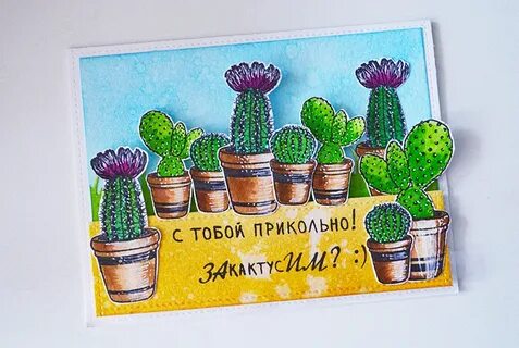 День кактуса