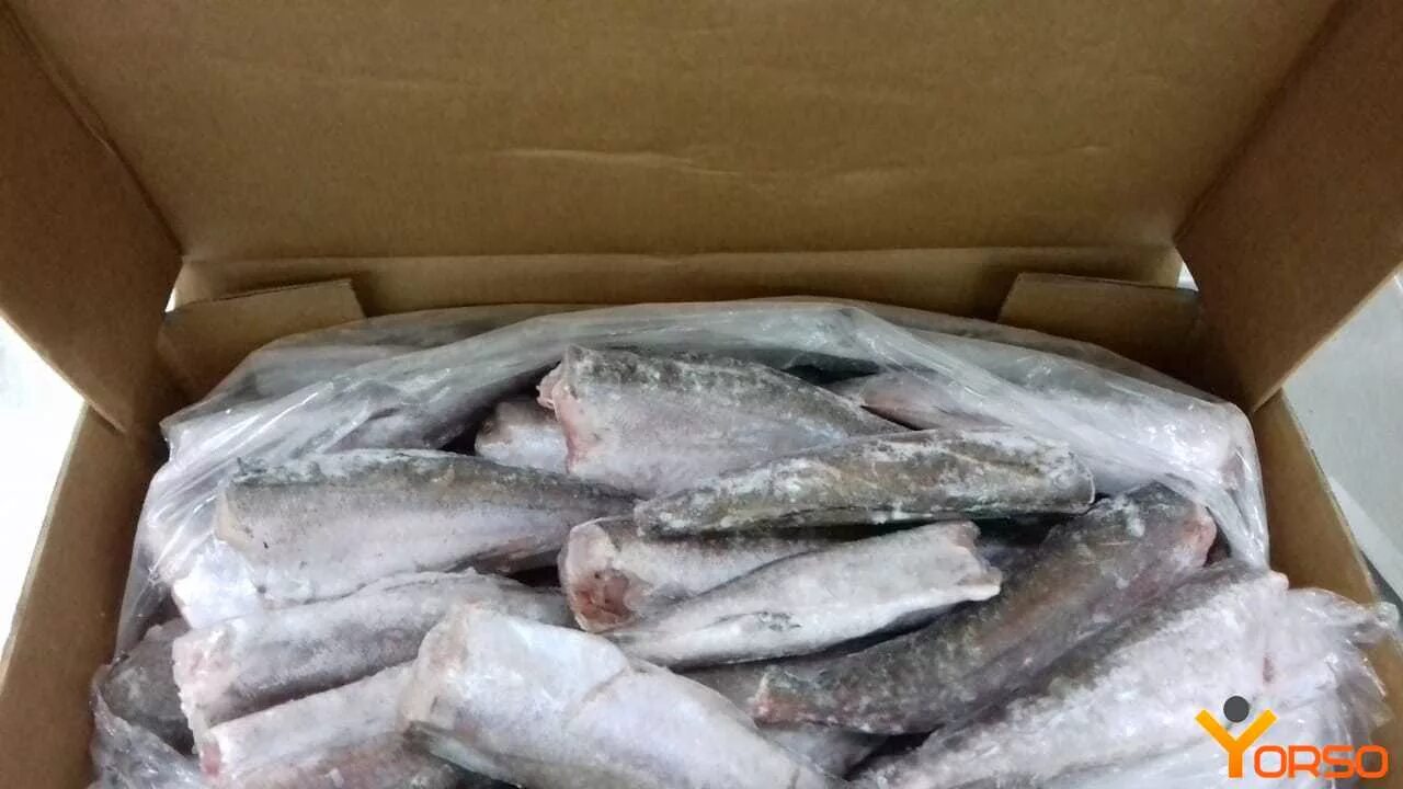 Рыба цена за 1 кг в москве. Хек тушка 300-500 (1/10) Аргентина. Хек тушка с/м 300-500. Хек Дальневосточный.