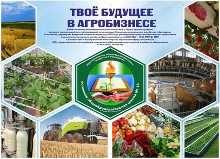 Агробизнес сайт