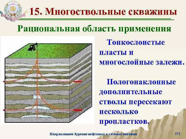 Многослойный плоский неороговевающий эпителий выстилает. Пласты многослойного. Многослойный плоский эпителий гистология. Скважины много стволные. Многослойный плоские не ороговеваюзий эпителий.