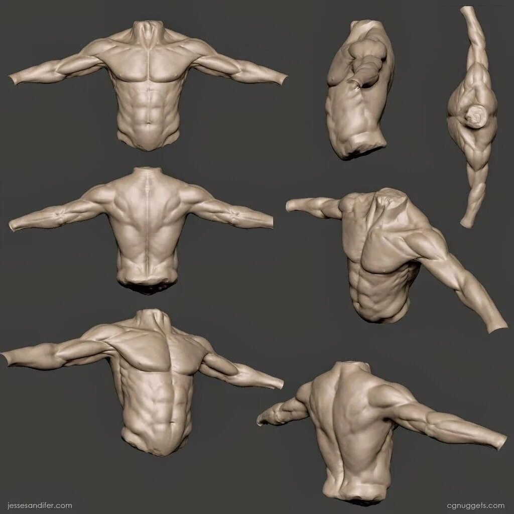 C reference source