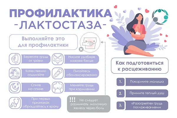 Как прикладывать при лактостазе