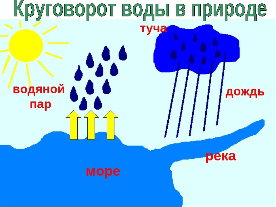 Круговорот испарения воды. Круговорот воды в природе схема. Круговоротволыв природе. Круговорот воды схема для детей. Формирование круговорота воды в природе