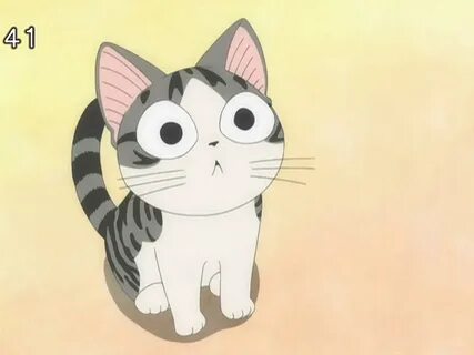 Chi s
