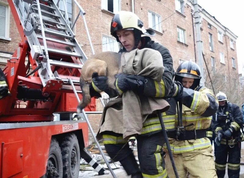 Пожарные. Пожарный спасает. Спасение людей пожарными. Пожарные спасают людей.