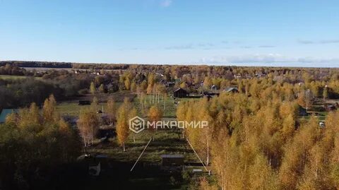Погода в пленицино шаховской