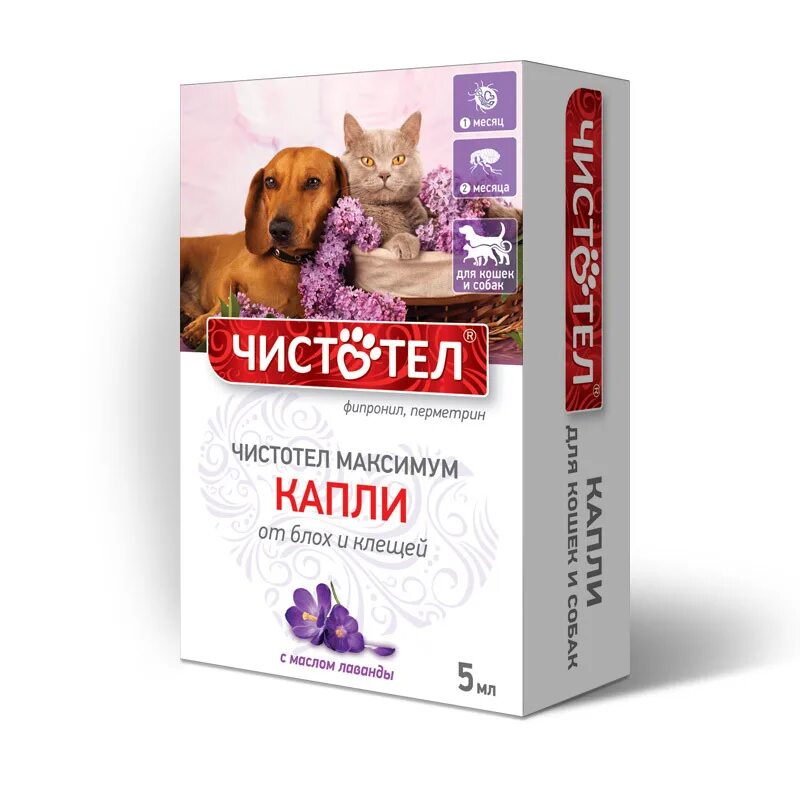 Чистотел от клещей для кошек. Чистотел капли от блох и клещей максимум для кошек и собак. Чистотел максимум капли от блох для кошек и собак 5мл. Капли от блох "чистотел -максимум" д/собак от блох.. Капли для животных чистотел максимум.