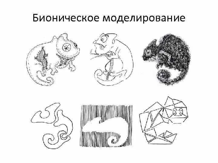 Бионика примеры животных. Моделирование бионики. стилизация бионической формы. стилизация бионической формы животное. бионика зарисовки.