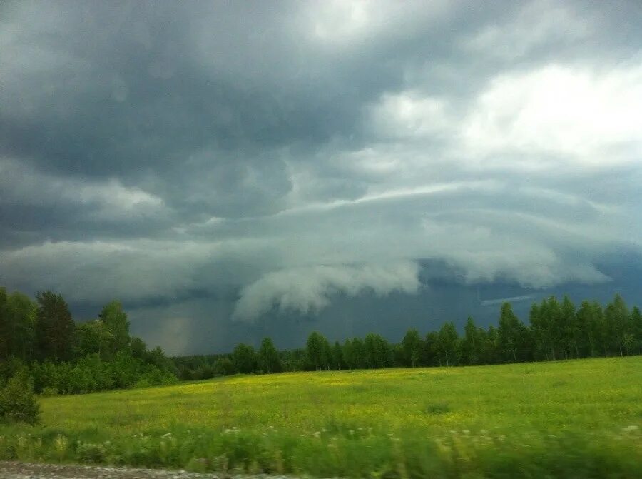 Стихи тютчева люблю грозу в начале. Прогремел первый гром. Первый гром прогремел. Прогремел первый гром. Прогремел первый гром.