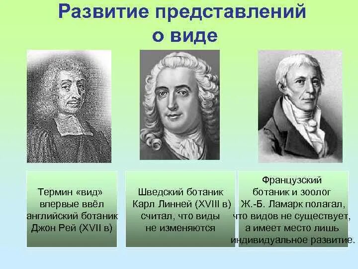 Линней считал что виды. Линней считал что виды