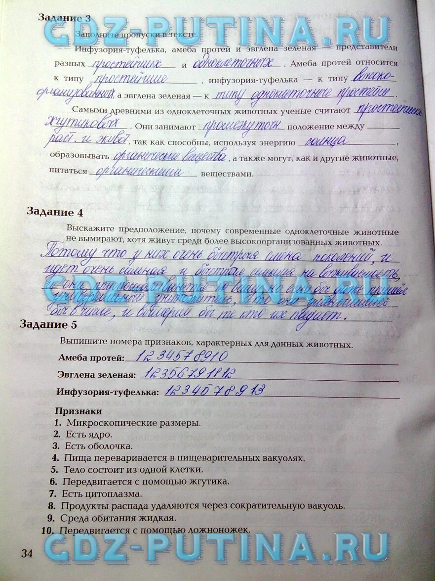 Биология 7 класс суматохин кучменко. Рабочая тетрадь по биологии 8 класс суматохин кучменко. гдз по биологии 7 класс суматохин. биология 7 класс рабочая тетрадь суматохин 2 часть. биология 7 класс кучменко.