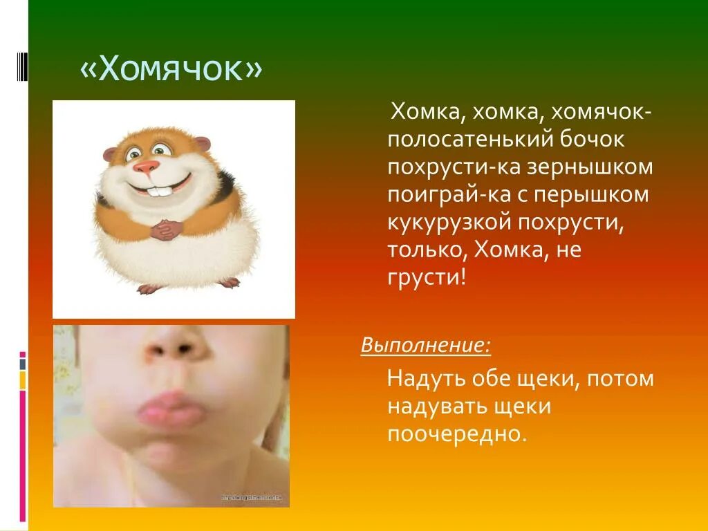 Упражнение хомячок. Артикуляционная гимнастика голодный хомячок. Упражнение хомячок. Артикуляционная гимнастика хомяк. Упражнение хомячок.