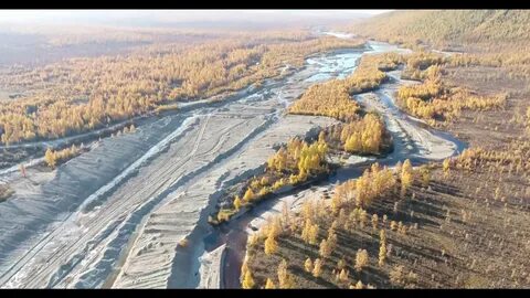 Приамурский регион