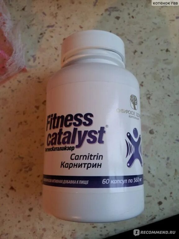 Аргинин сибирское здоровье. Метилсульфонилметан сибирское здоровье. Fitness catalyst сибирское здоровье. Протеин фитнес катализ сибирское здоровье. Фитнес каталист сибирское здоровье.