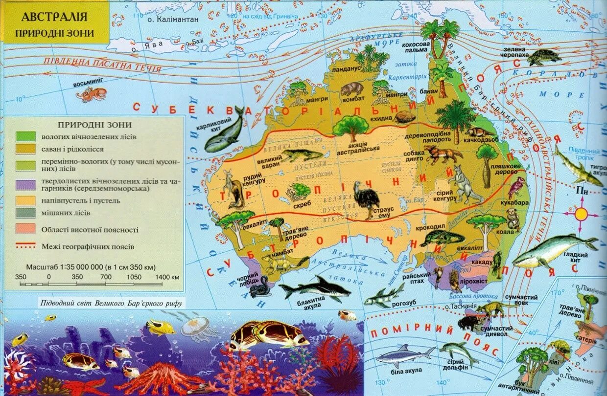 Зоны австралии на карте. Карта природных зон Австралии. Карта природных зон Австралии 7 класс. Карта Австралии географическая природные зоны. Природные зоны Австралии карта 7 класс география.