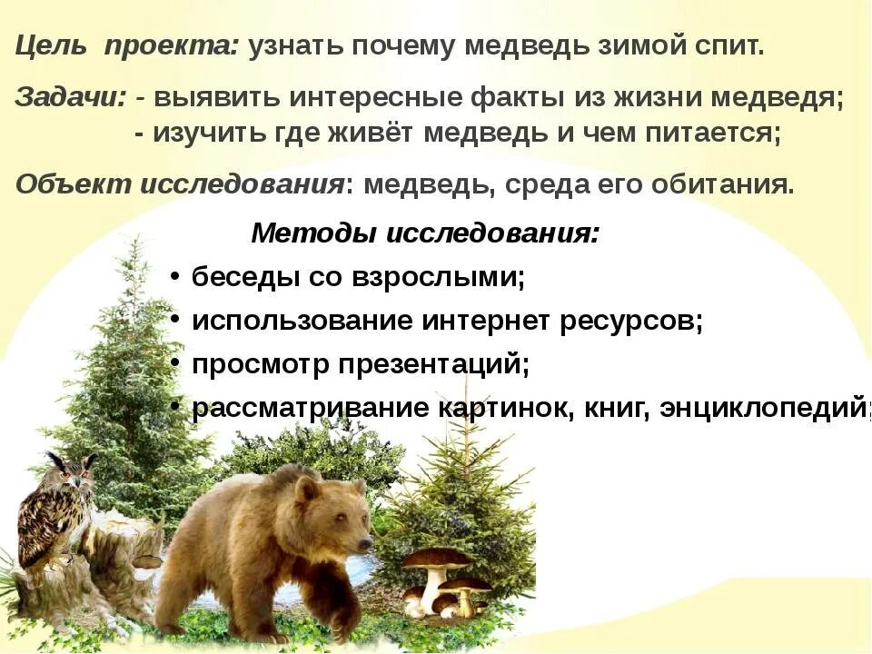 Какую среду освоил медведь. Почеумедведьзимойспит. Почему медведи спят зимой задачи проекта.