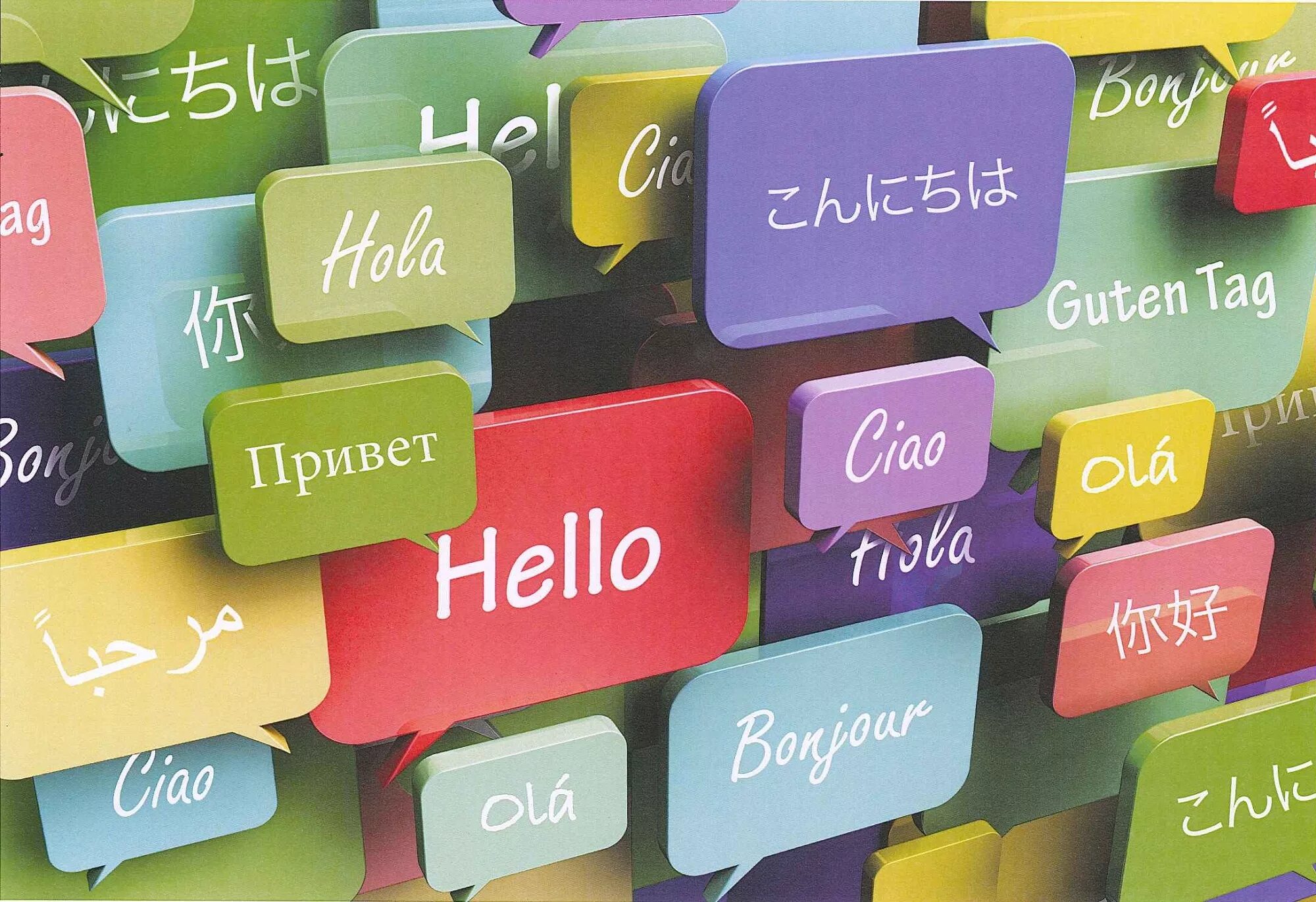 Language. Language