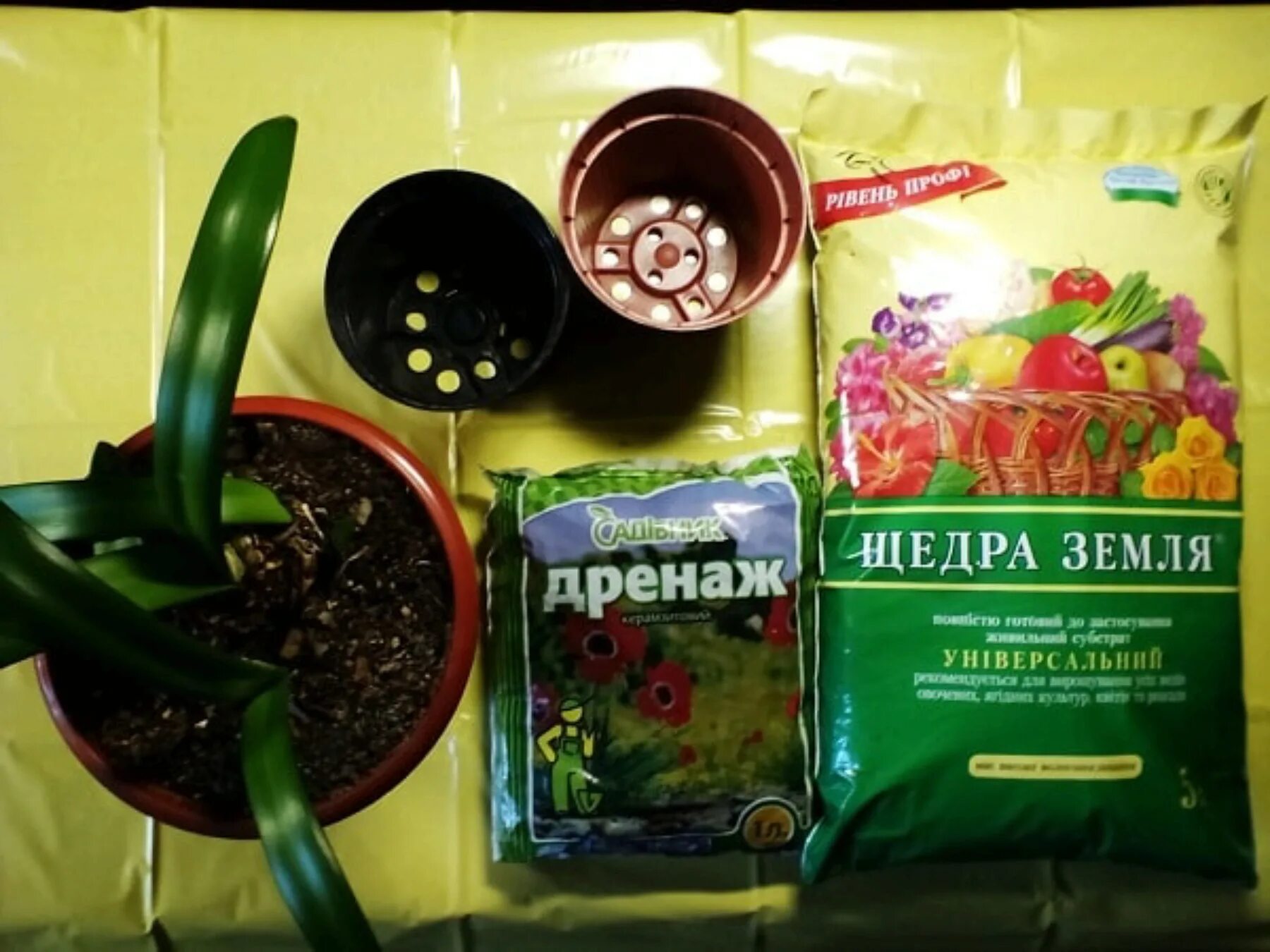 Амариллис какой грунт. Грунт для гиппеаструма. грунт для гиппеаструма готовый. готовый грунт для амариллиса. гиппеаструм почвогрунт.