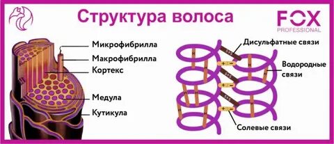Основной белок волоса