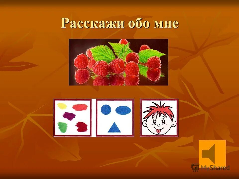 Подробно расскажем обо всех. Подробно расскажем обо всех
