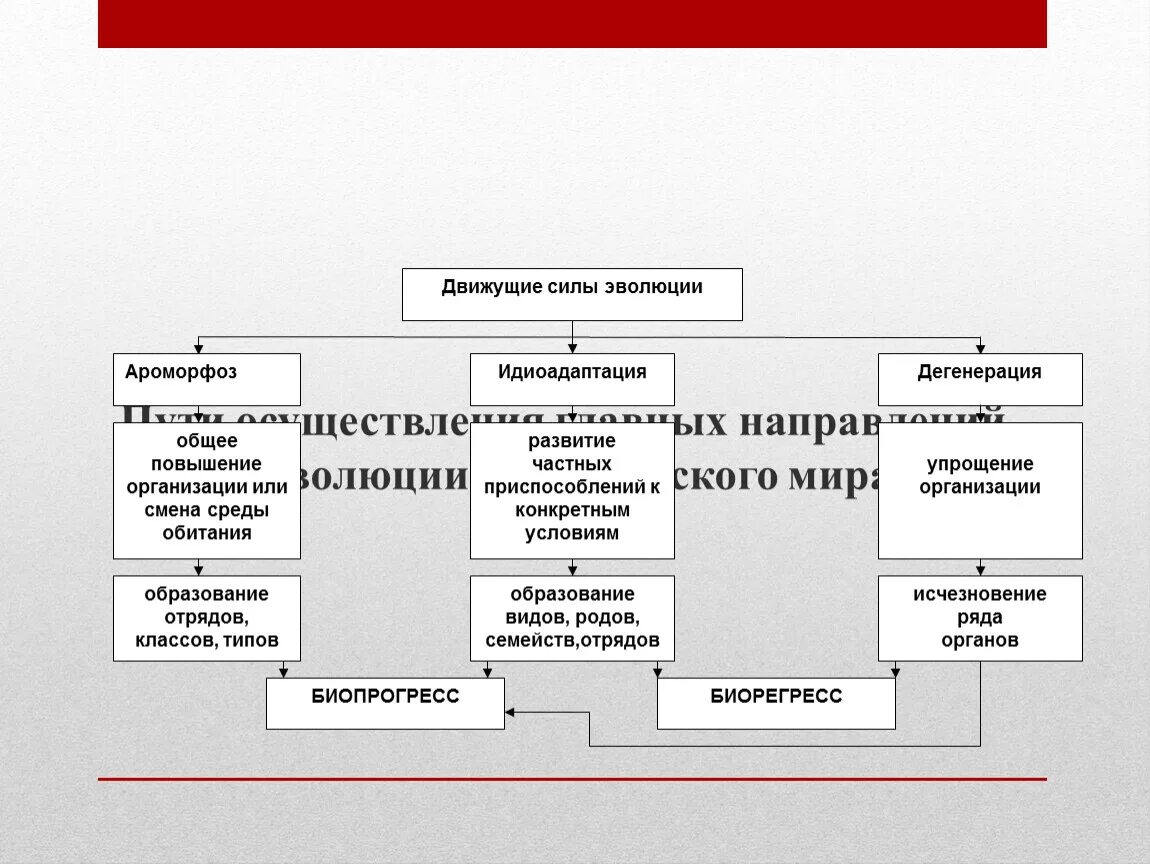 Движущие силы эволюции схема. Схема классификации движущих сил эволюции. Схема движущие силы и факторы эволюции. Движущие силы эволюции ЕГЭ.