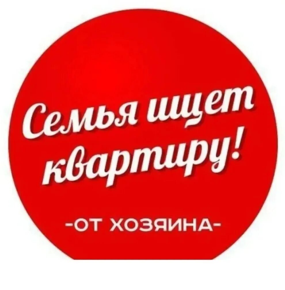 Сниму квартиру. Сдам квартиру надпись. Срочно нужна квартира картинки. Сниму квартиру картинка. Сниму квартиру фото.
