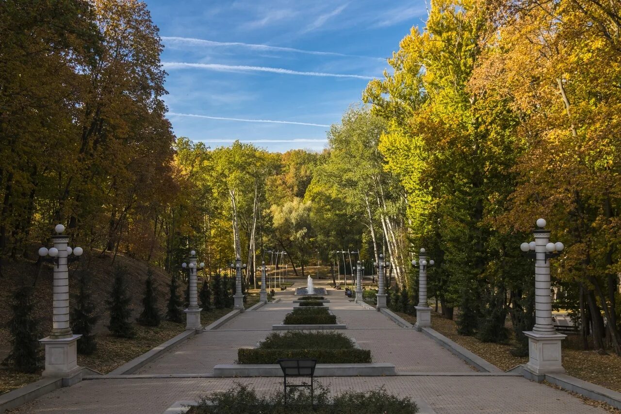 Парк динамо воронеж. Центральный парк динамо. Воронежский центральный парк фото. Парк динамо воронеж улица. Воронежский центральный парк фото.