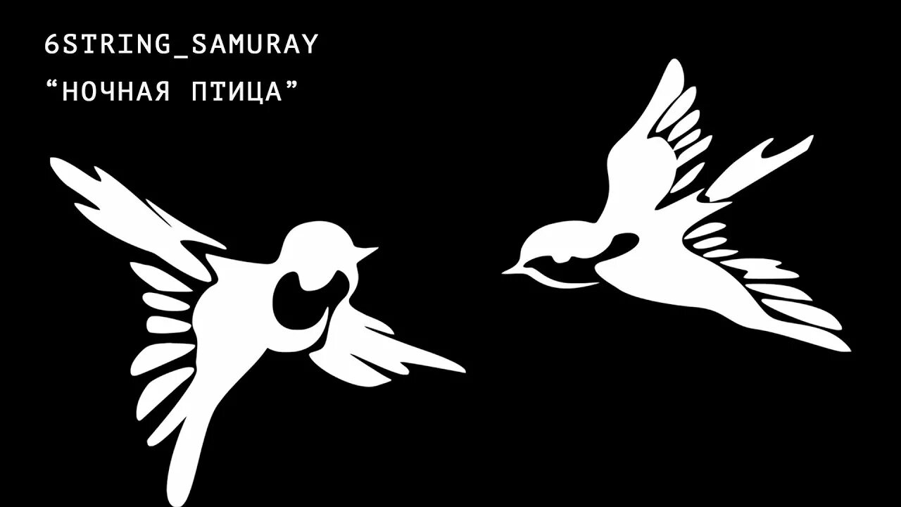 Песня никольского ночная птица. Ночная птица воскресенье. О чём поёт ночная птица. Ночная птица Никольский текст. О чём поёт ночная птица картинки.