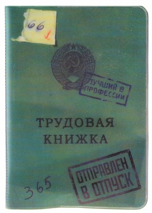 Обложка на трудовую. Трудовая книжка обложка. Прикольные обложка на трудовую книжку. Трудовая книжка в твердой обложке.