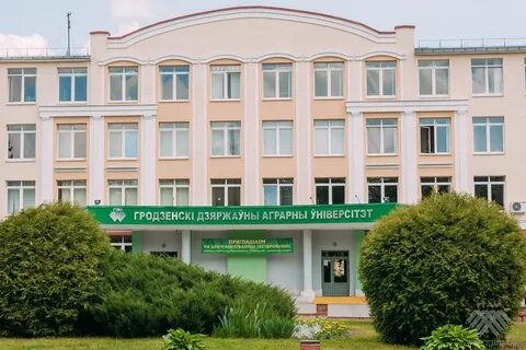 Сельскохозяйственных факультет