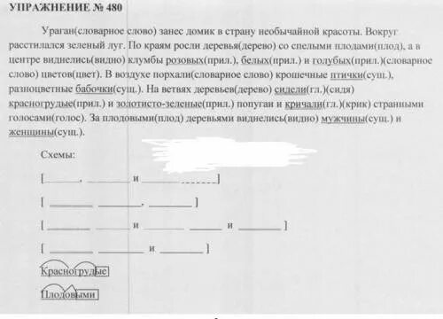 Русский язык 6 класс 480 упражнение сочинение. Упр 480. Русский язык 6 класс ладыженская упр 480. Упр 480 6 класс 2 часть