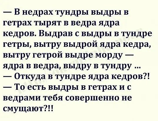 Выдру в тундру ядра в ведра. В недрах тундры выдры в гетрах тырят в вёдра ядра кедров полная версия. В тундре выдры в гетрах тырят. Выдру в тундру ядра в ведра. Выдру в тундру ядра в ведра.