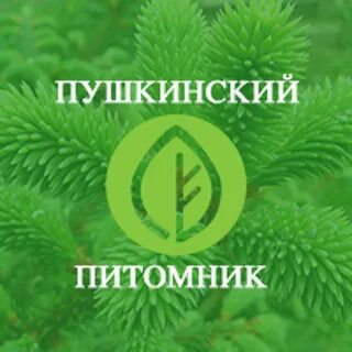 Московская область пушкинский питомник