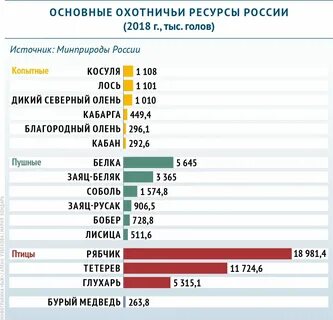 Охотничьи ресурсы виды охоты