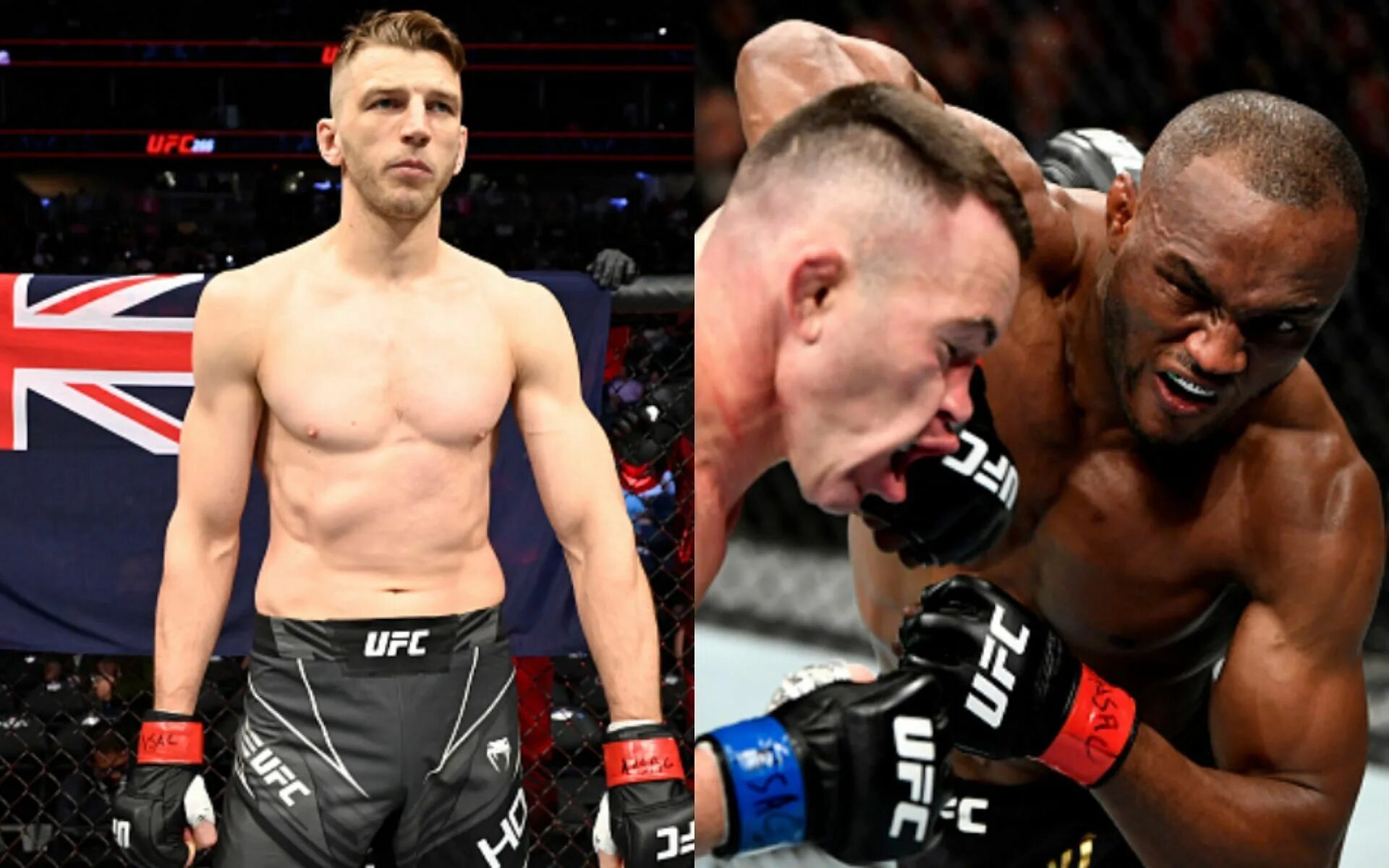 Расовое превосходство. Дэн метаддуо. Ufc волкановски. Кто победит сейчас. Кто победит сейчас.