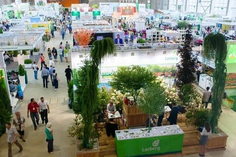 Выставки в сентябре экспо
