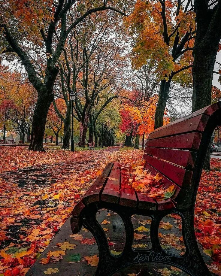 Осень грустит. Осенний пейзаж. Старый осенний парк. Осенний город. Осень грусть.