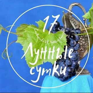 17 лунный день