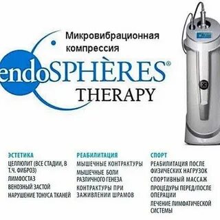 Эндосфера что это