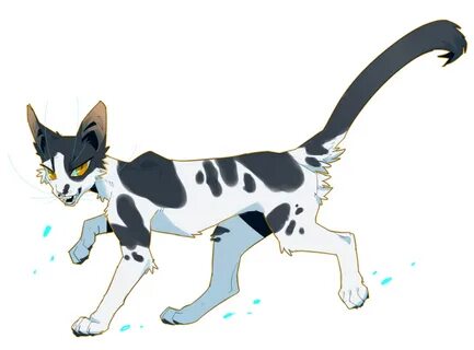 У кота перелом коты воители