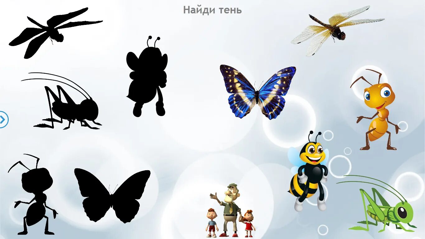 Тень стрекозы содержание. Игра чья тень насекомые. найди тень насекомые для детей. тень насекомые для дошкольников. узнай по силуэту насекомых для детей.