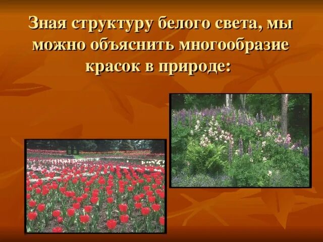 Чем объяснить многообразие белков. Многообразие живых организмов на нашей планете можно объяснить. Чем объяснить большое многообразие живых организмов на нашей планете. Многообразие красок в природе физика. Чем можно объяснить многообразие.