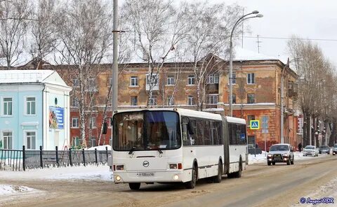 Автобус 215 кстово щербинки