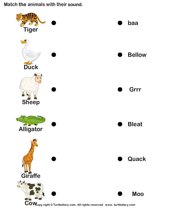 Worksheets животные. Tasks about animals for Kids. Animals Worksheets for Kids 2 класс. Животные Worksheets for Kids.