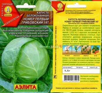 Сорт капусты грибовский 147 отзывы