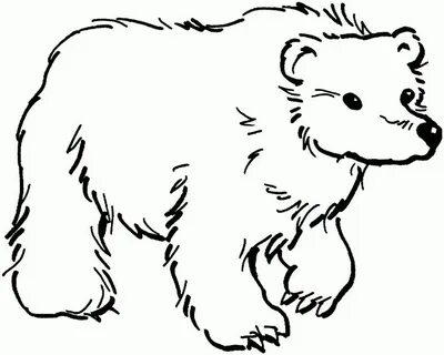 Bear Coloring Pages Cute Polar Bear Coloring Pages Classic Style Printable Polar