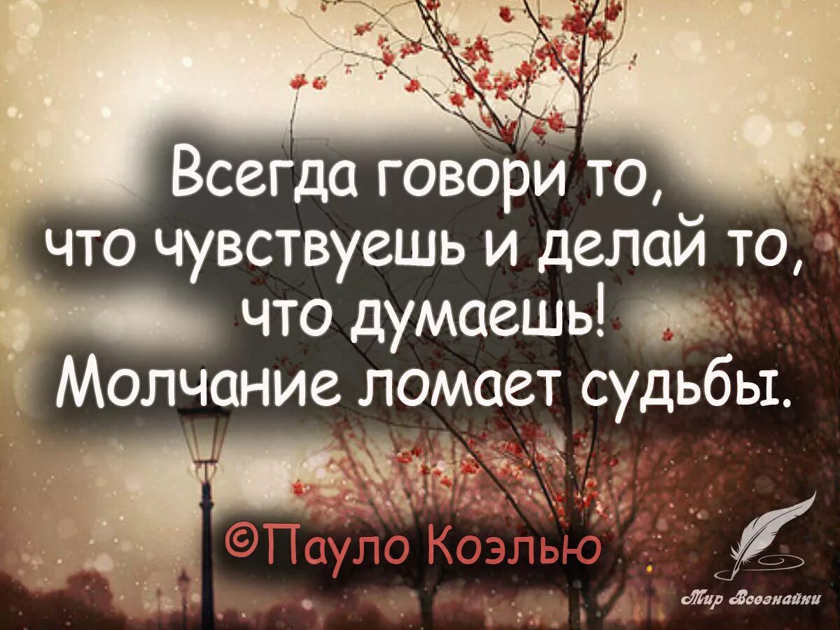 Хотите говорить говорите молча. Афоризмы про судьбу. Мудрые высказывания про судьбу. Фразы про судьбу. Молчание цитаты.