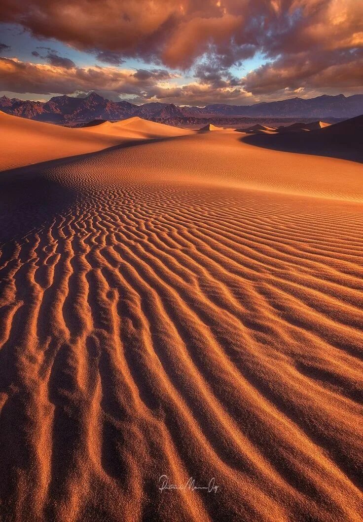 Красивая пустыня. Песчаные дюны раджастхан. Beautiful deserts. Beautiful deserts. Панзеры 2 в пустыне.