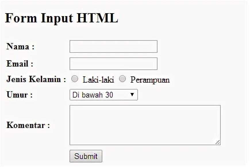 Form input text